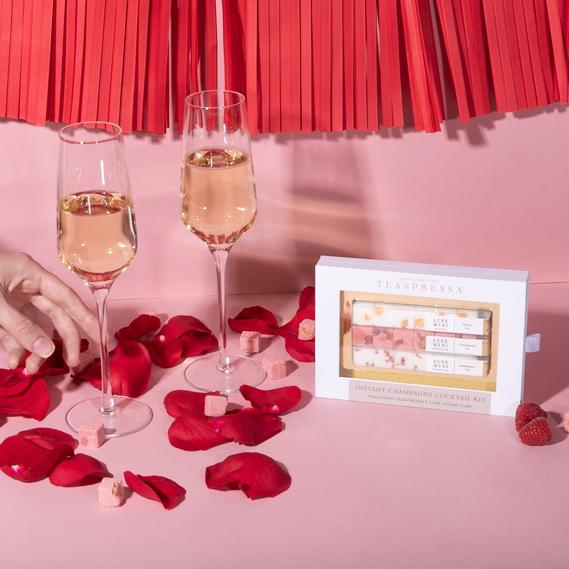 INSTANT CHAMPAGNE COCKTAIL KIT