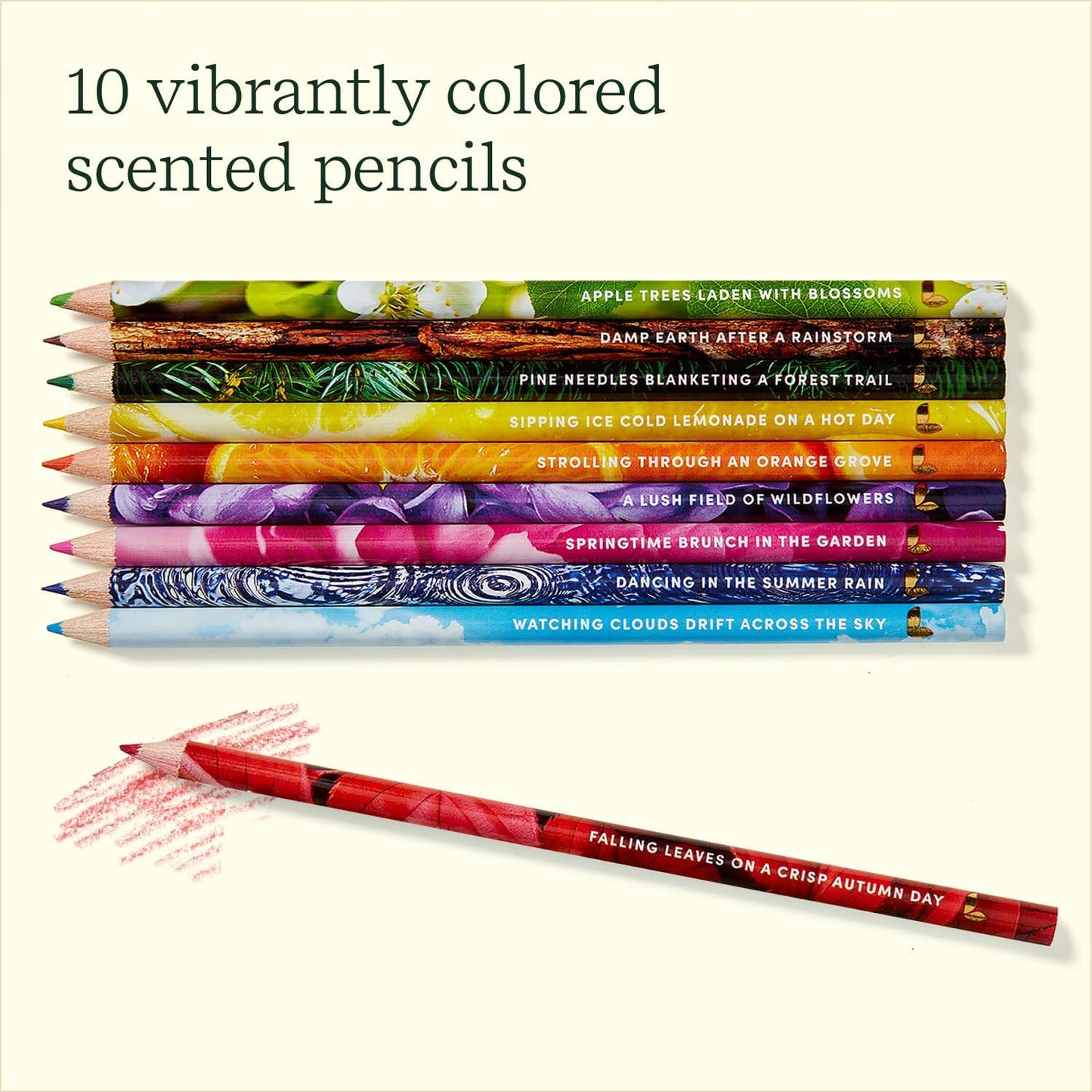 COLORED  PENCILS: RUB & SNIFF SCENTED