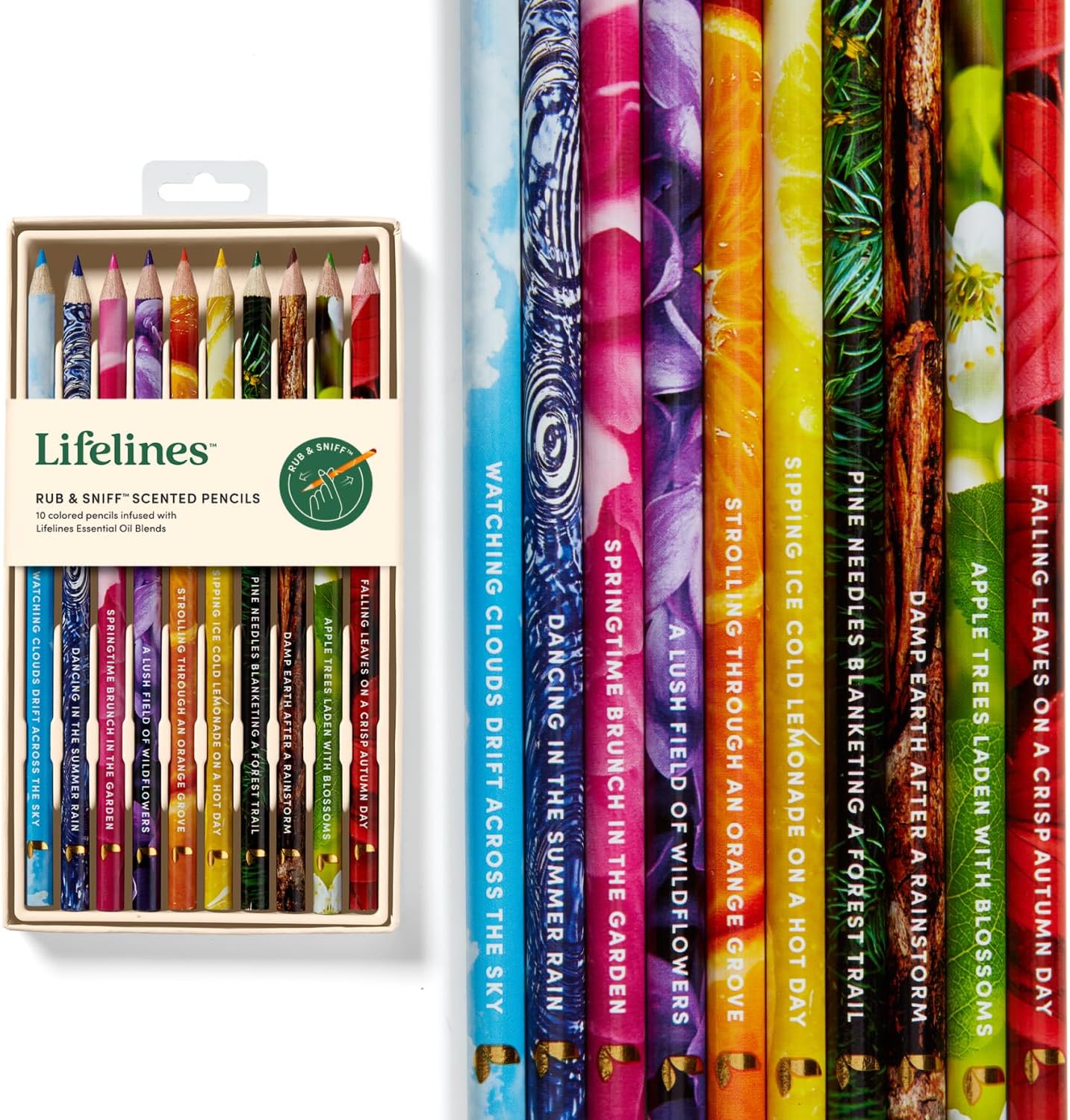 COLORED  PENCILS: RUB & SNIFF SCENTED
