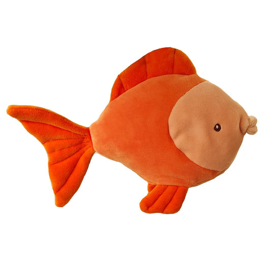 CORAL FISHES
