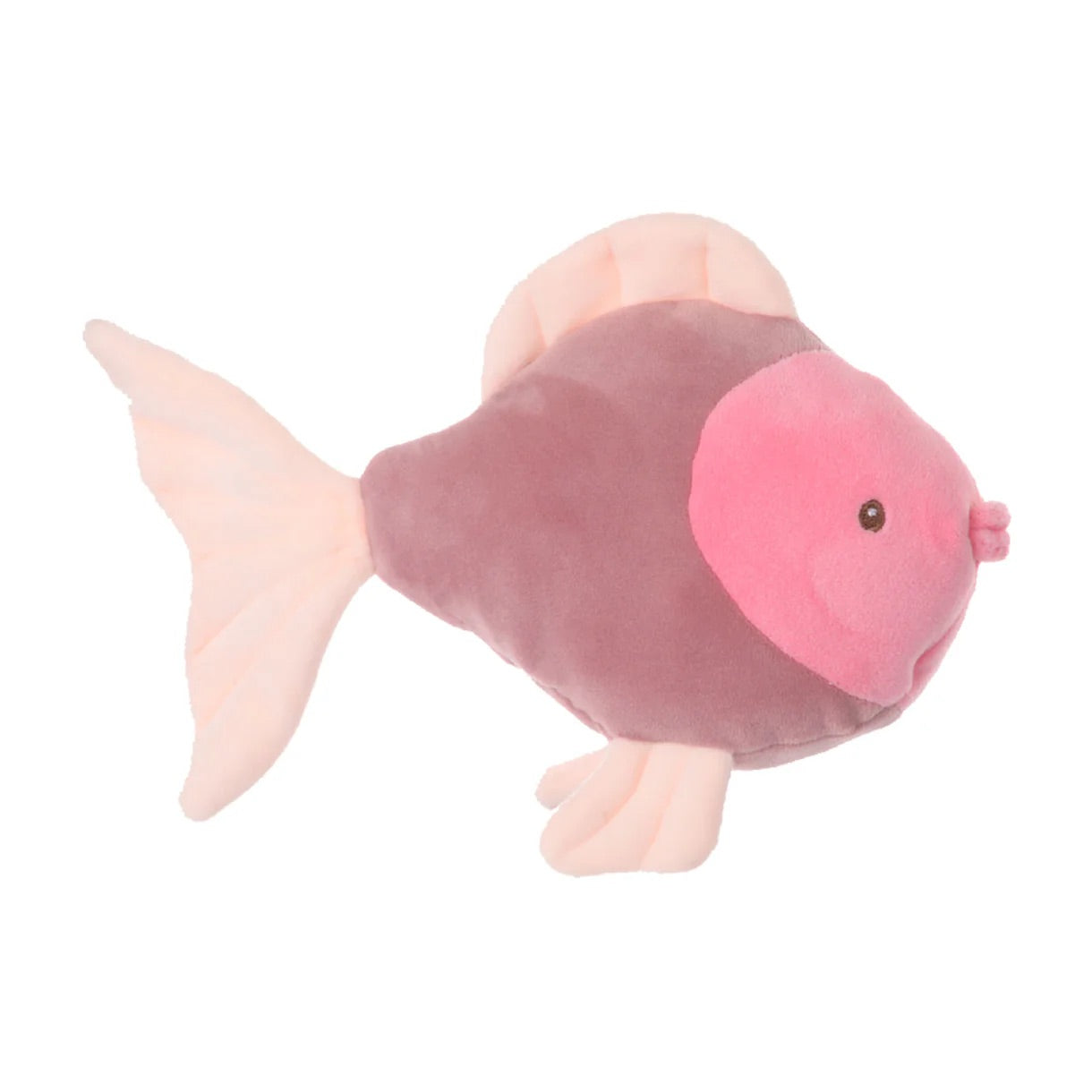 CORAL FISHES