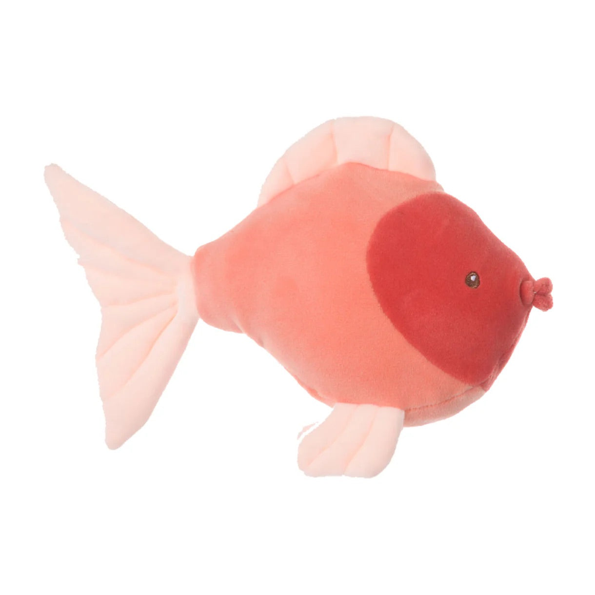 CORAL FISHES