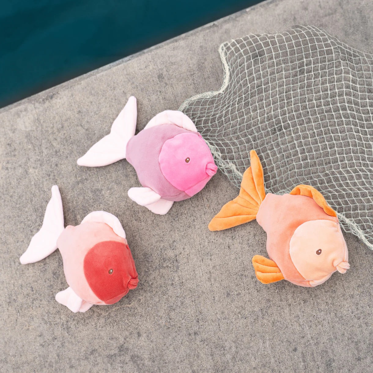 CORAL FISHES