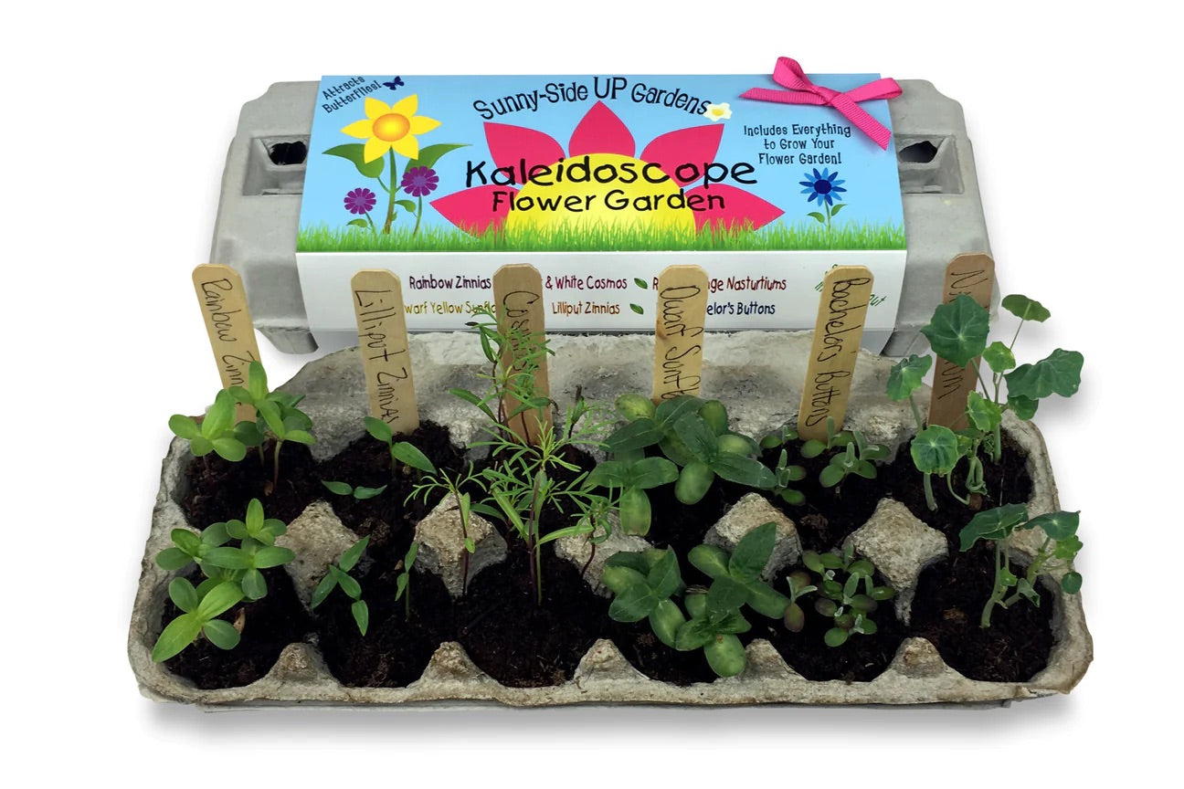 Kaleidoscope Flower Garden