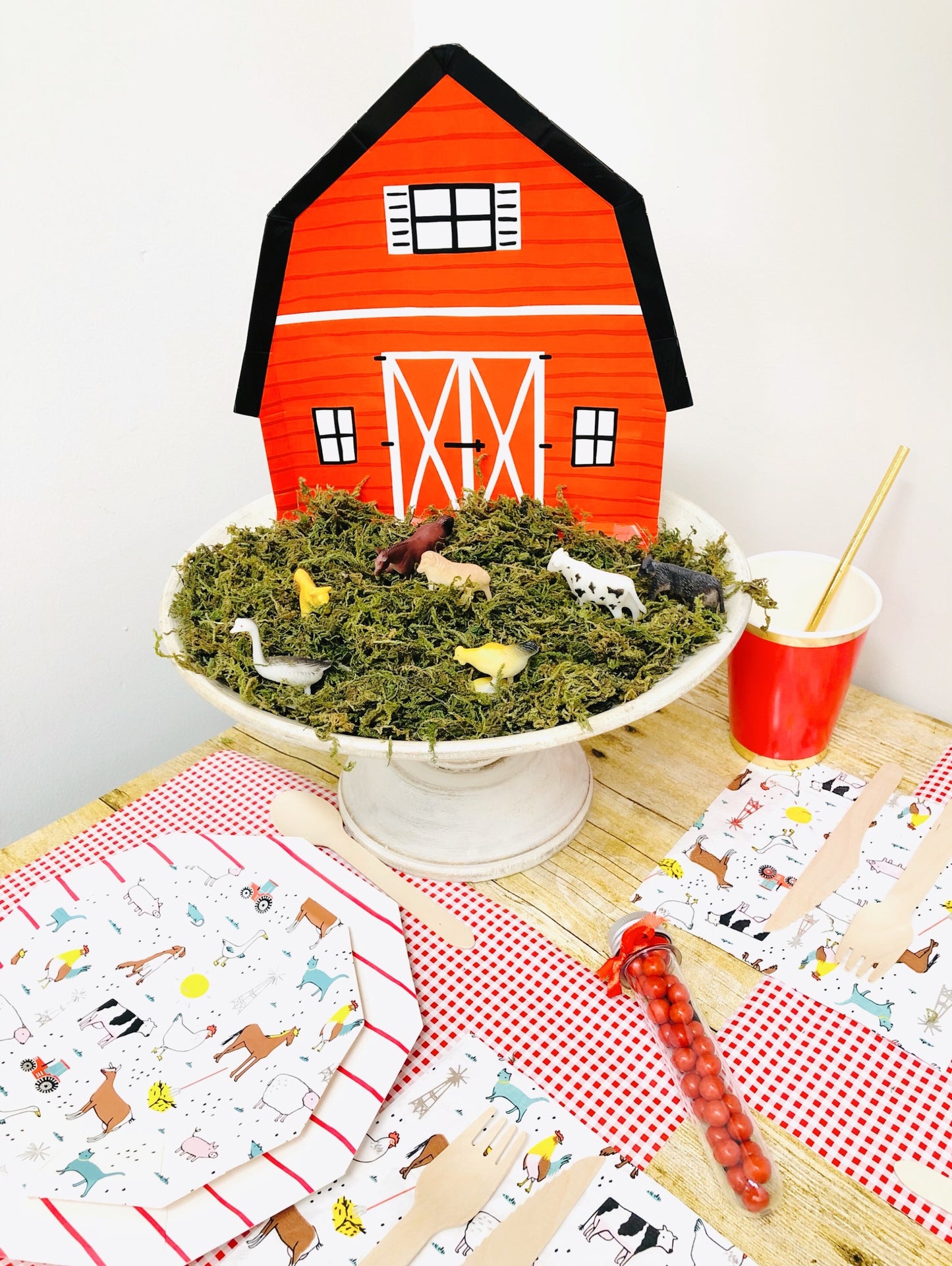 Farm Fun Party Box