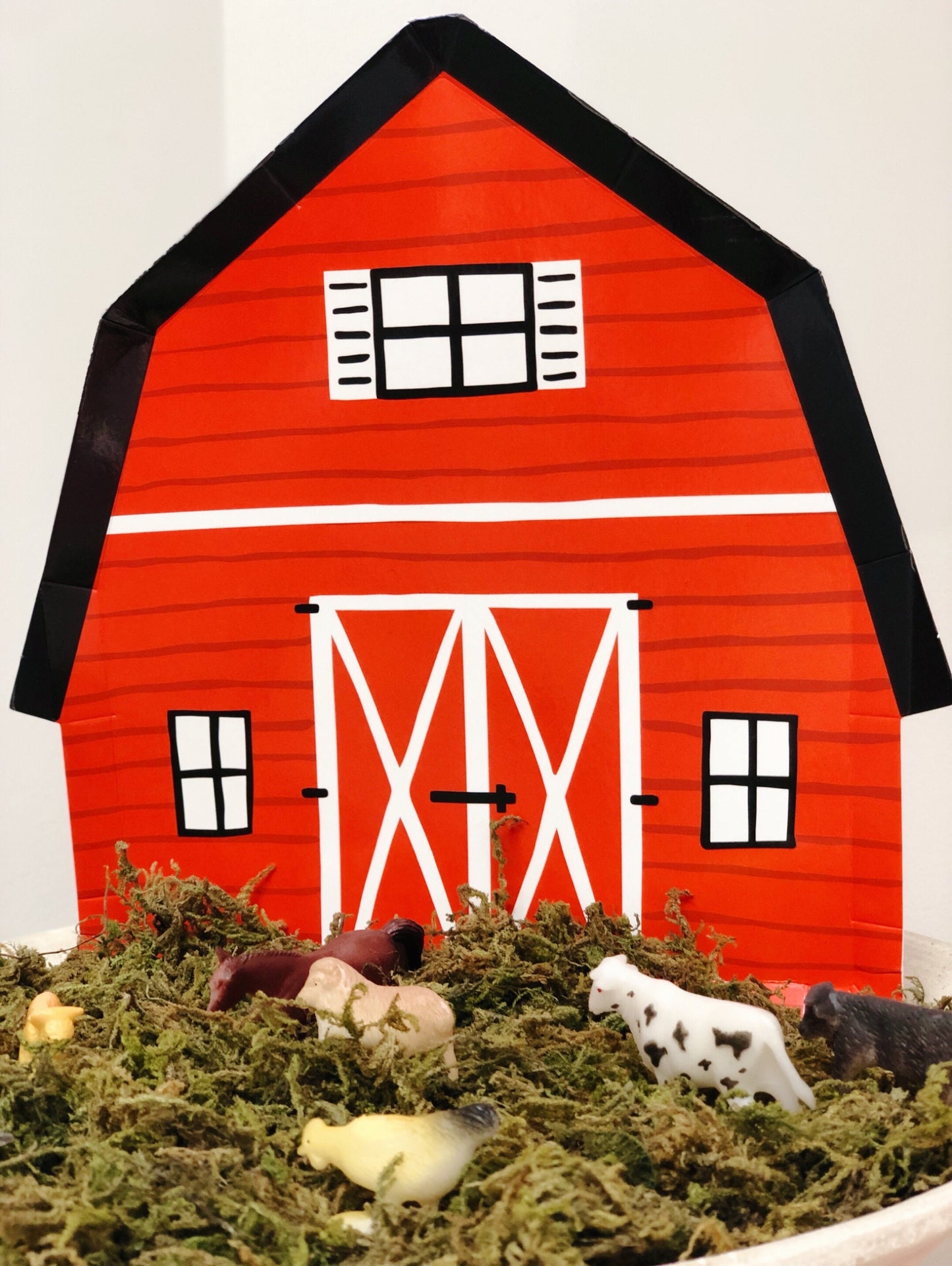 Farm Fun Party Box